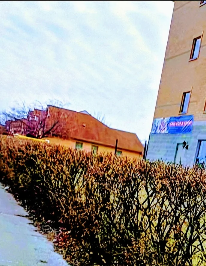 Wilson Commons - Assisted Living