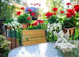 AEGIS LIVING BELLEVUE
