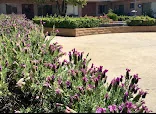 BELLA CARE HOME - MATUS
