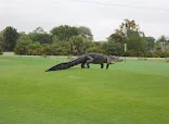 BOCA ROYALE GOLF & COUNTRY CLUB
