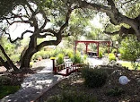 CASA ROSA ELDER CARE