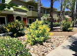 COUNTRY CLUB MANOR