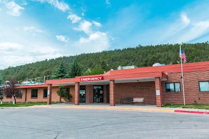 CROOK COUNTY MEDICAL SERVICES DISTRICT LONG TERM CARE