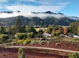 VISIONARY CARMEL-BY-THE-SEA ASSISTED LIVING