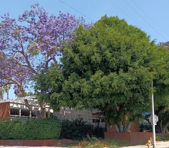 GARDNER STREET BOARD AND CARE