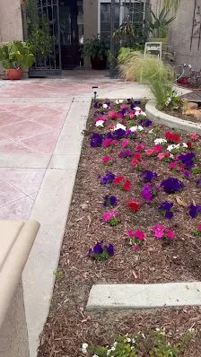 NEW HOME SENIOR CARE 4