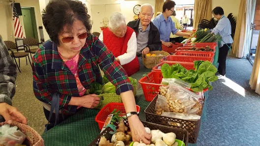 LYTTON GARDENS COMMUNITY CARE