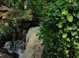 MORGAN FALLS #1