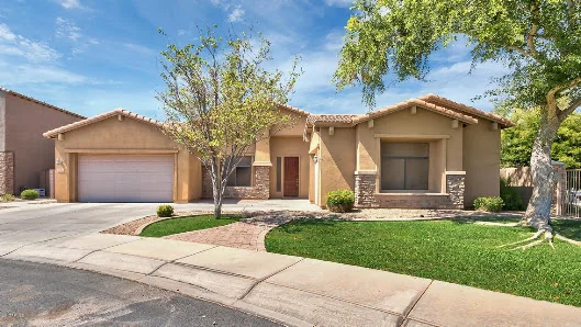 NEW BEGINNINGS CHANDLER