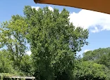 CANFIELD CARE MANOR