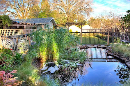 PARADISE GARDENS CARE HOME