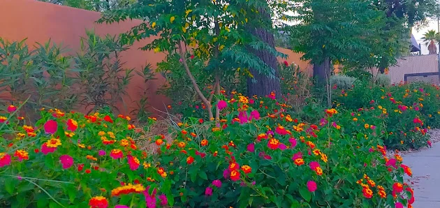 THE GROVES ASSISTED LIVING PLACE - PEACH