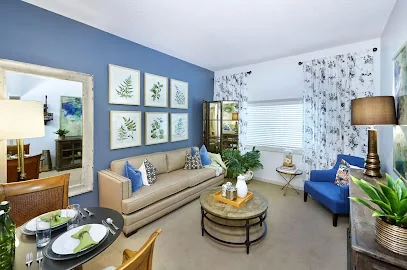 RENAISSANCE OF NORTH TAMPA