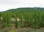 RIVER MOUNTAIN VILLAGE ASSISTED LIVING
