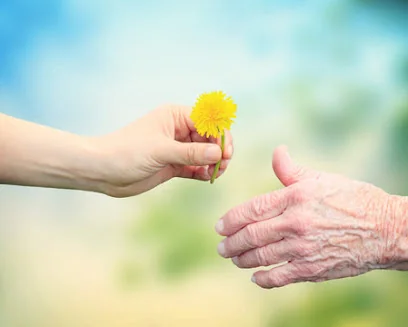 SOLVITA RESIDENTIAL CARE