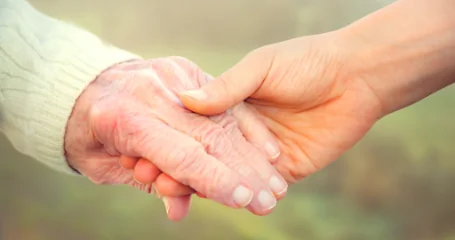 GARDEN VIEW CARE HOMES