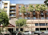 THE IVY HOME