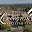The Lexington Assisted Living - Assisted Living photo