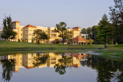 THE VILLAGE AT GAINESVILLE