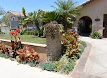 TRADITIONS AT LUCERO WAY
