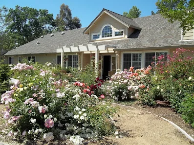WILD ROSE CARE HOME
