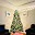 Wimbledon Walnut Creek Care Home - Assisted Living photo