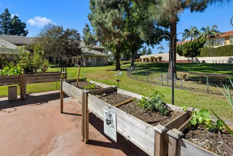 ARCADIA PLACE