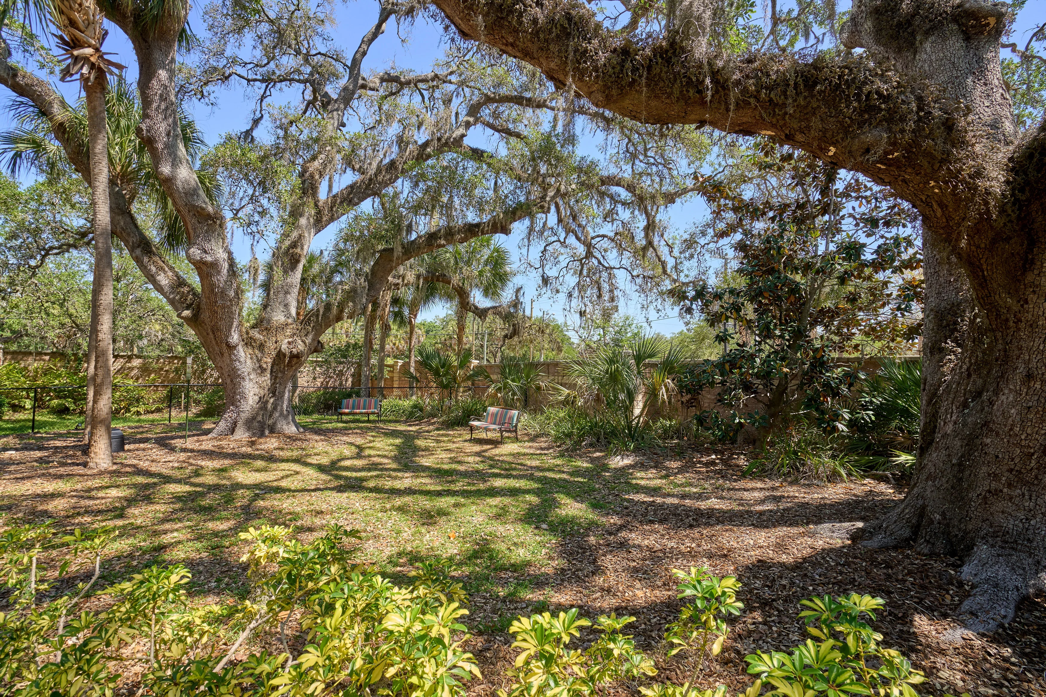 ARIETTA 55+ SENIOR LIVING