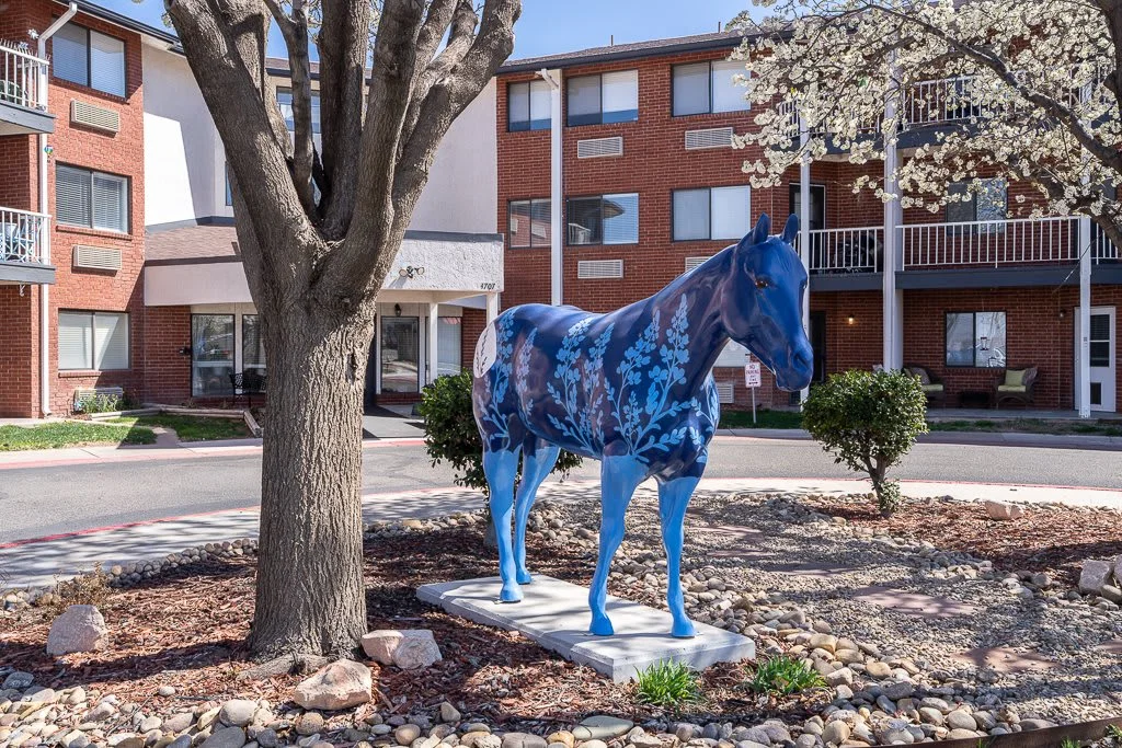 Asher Point Independent Living of Amarillo