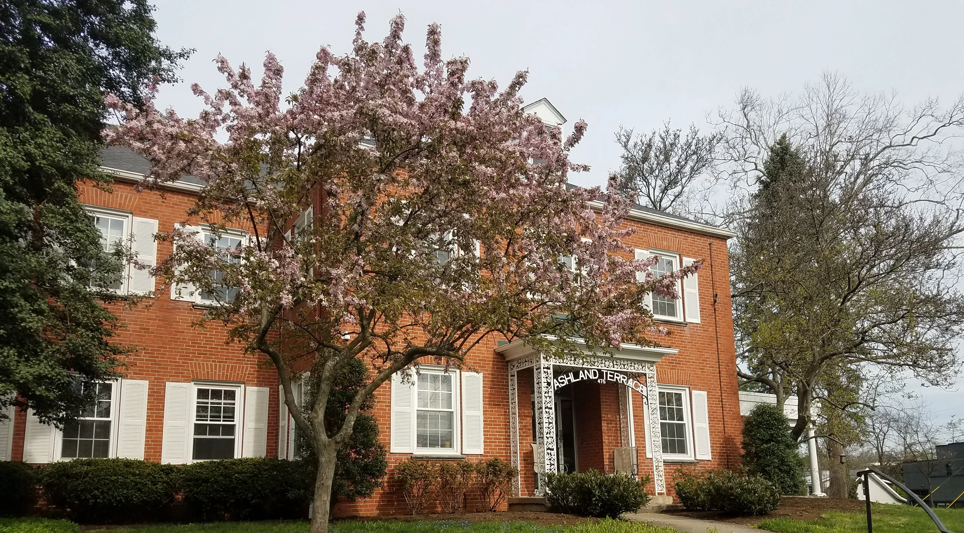 Ashland Terrace