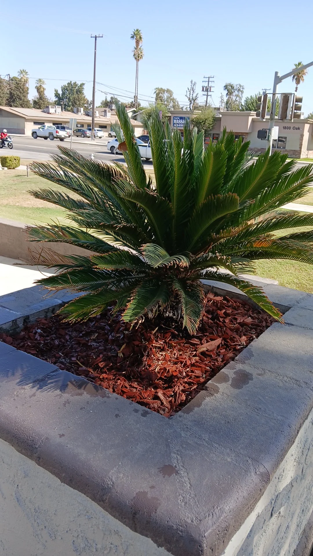 Bakersfield Community Hospice