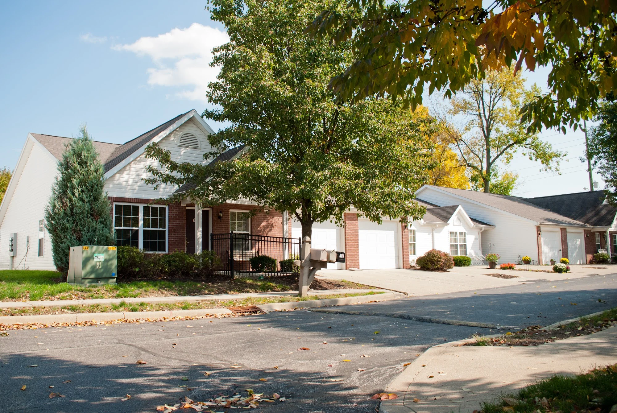 Beech Grove Meadows