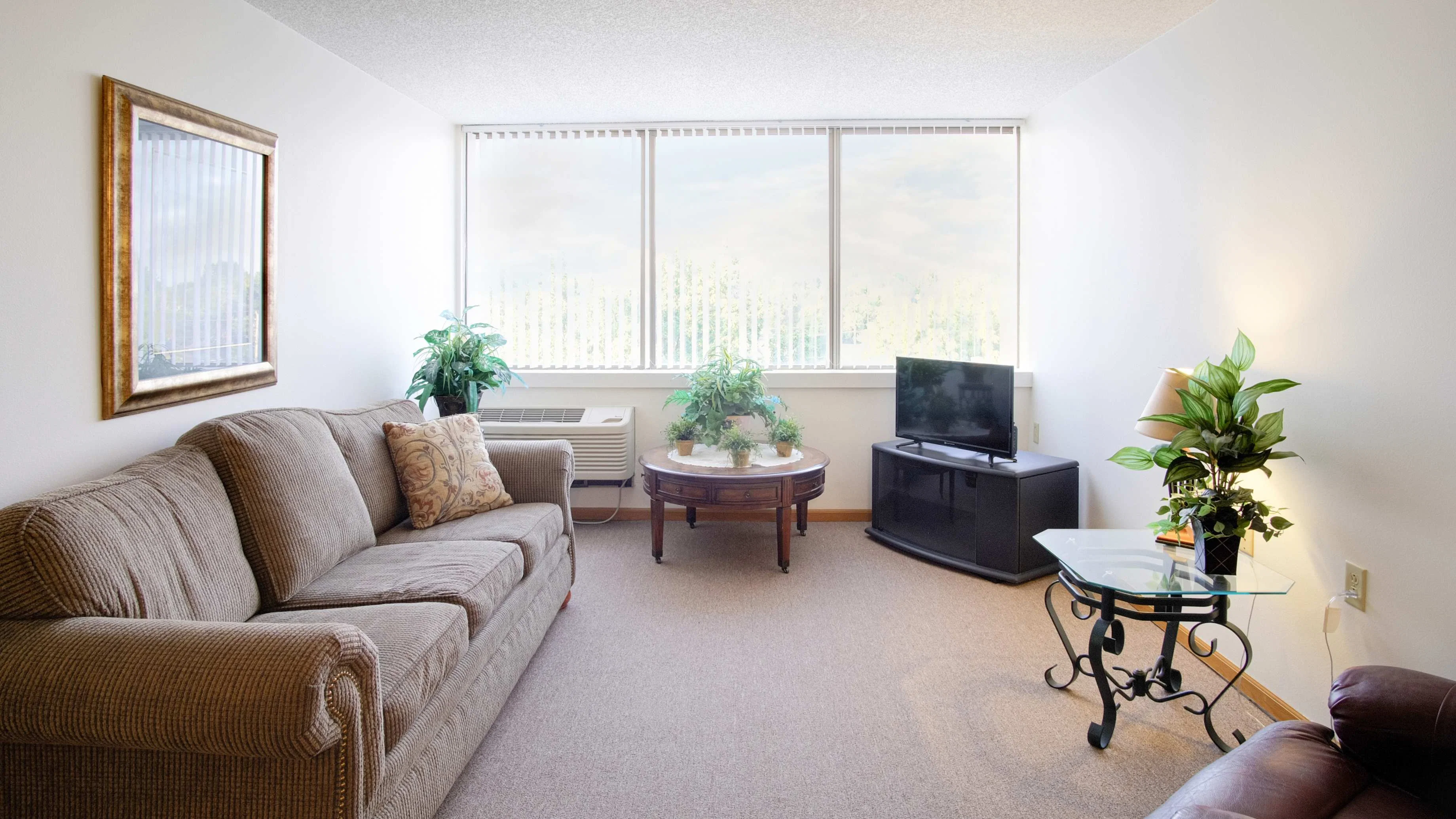 BRIDGES SENIOR LIFESTYLE LIVING
