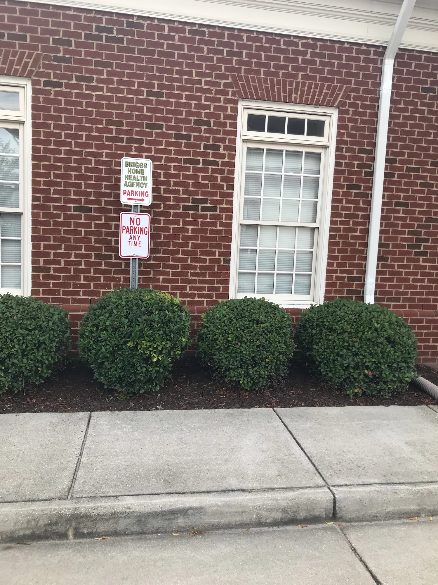 Briggs Home Health Agency