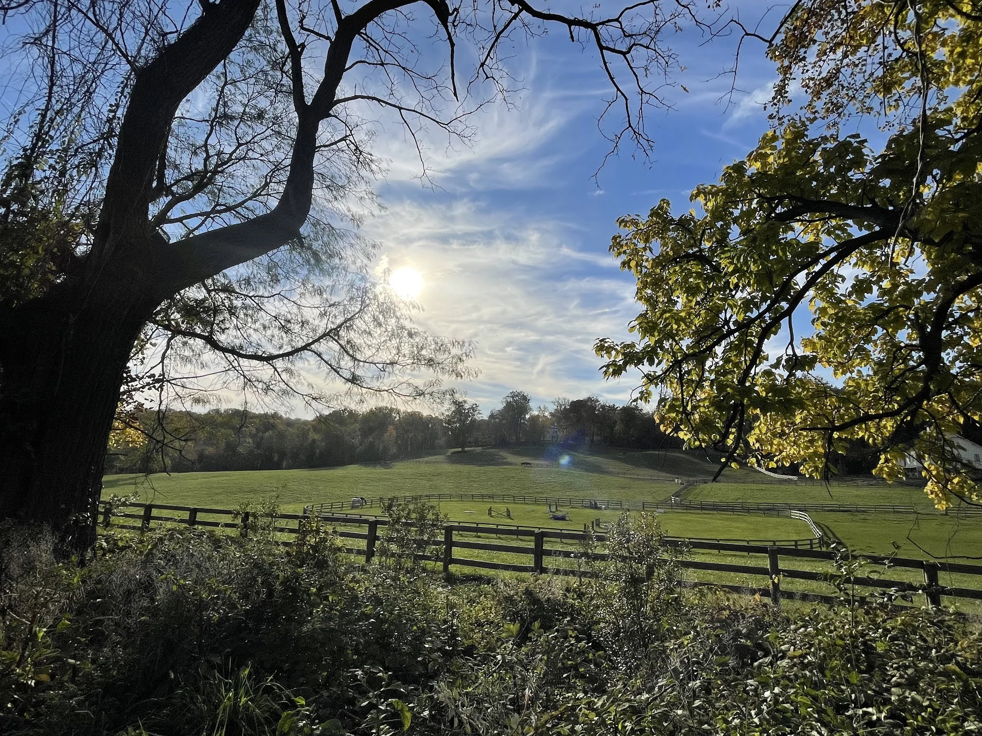 Brightwood