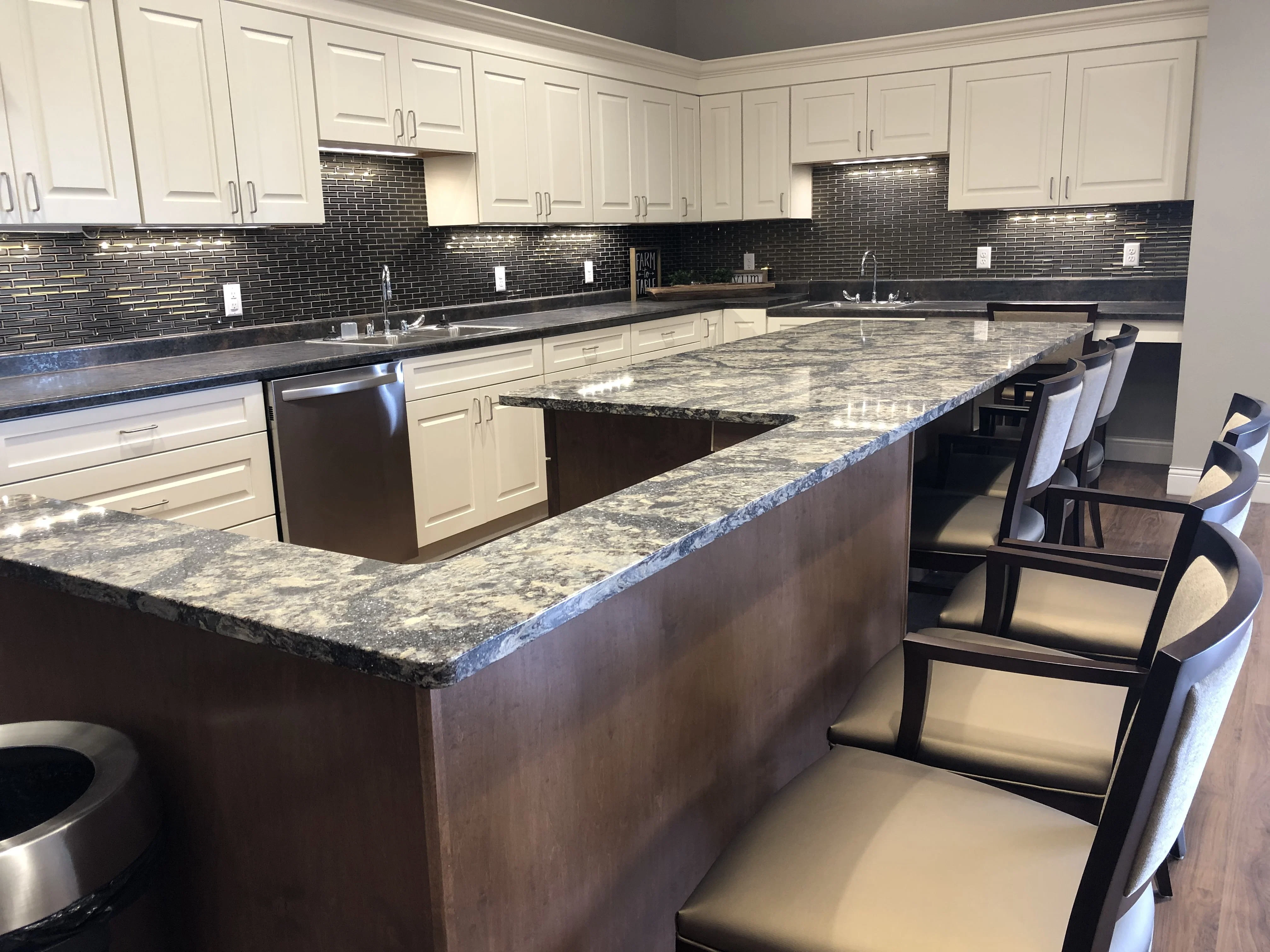 CAMBRIDGE SENIOR LIVING - HUDSON