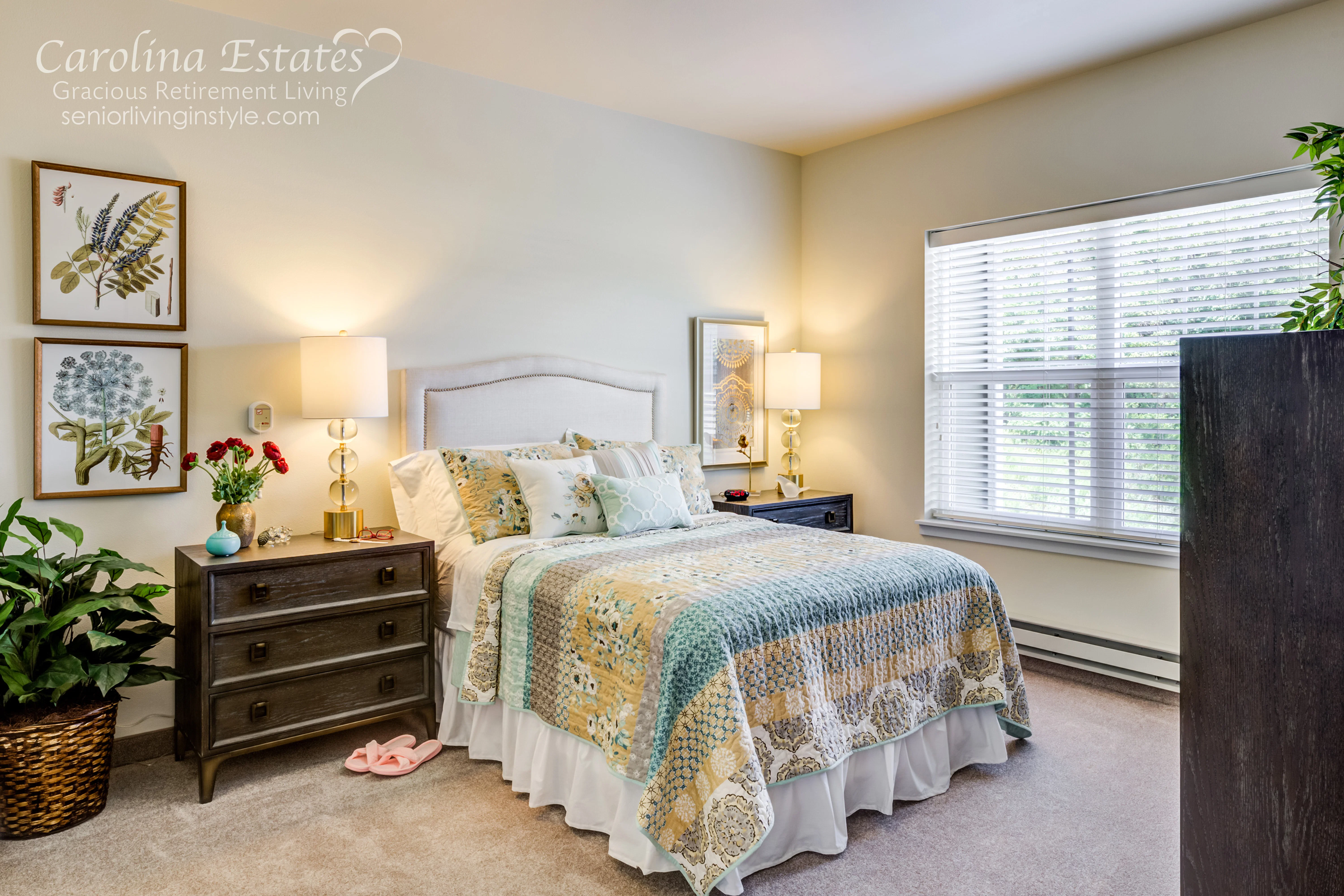 CAROLINA ESTATES