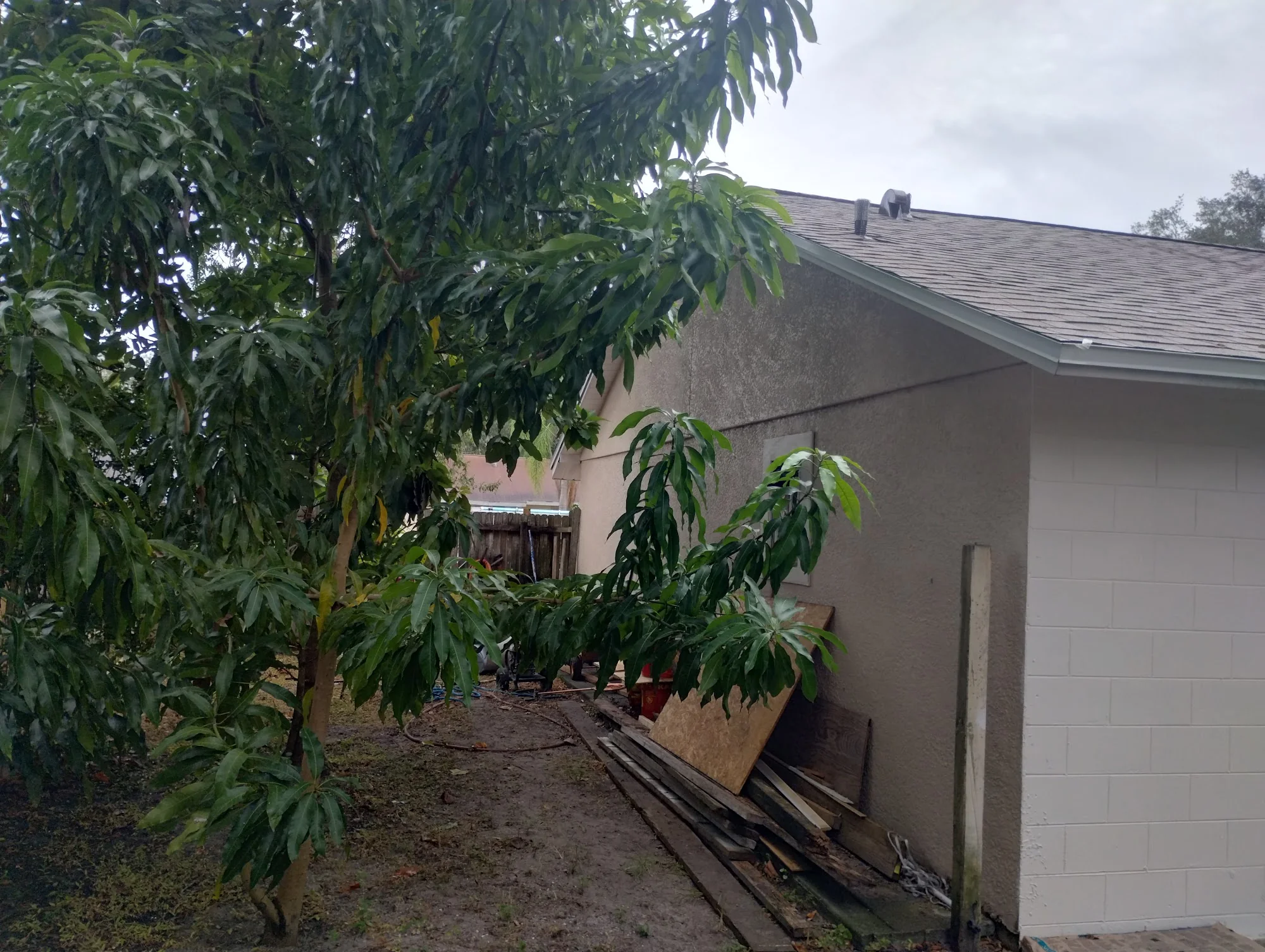 Center For Independent Living
