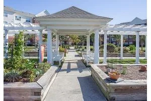 CHESTER VILLAGE SENIOR