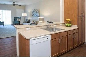 CONIFER VILLAGE AT OAKCREST