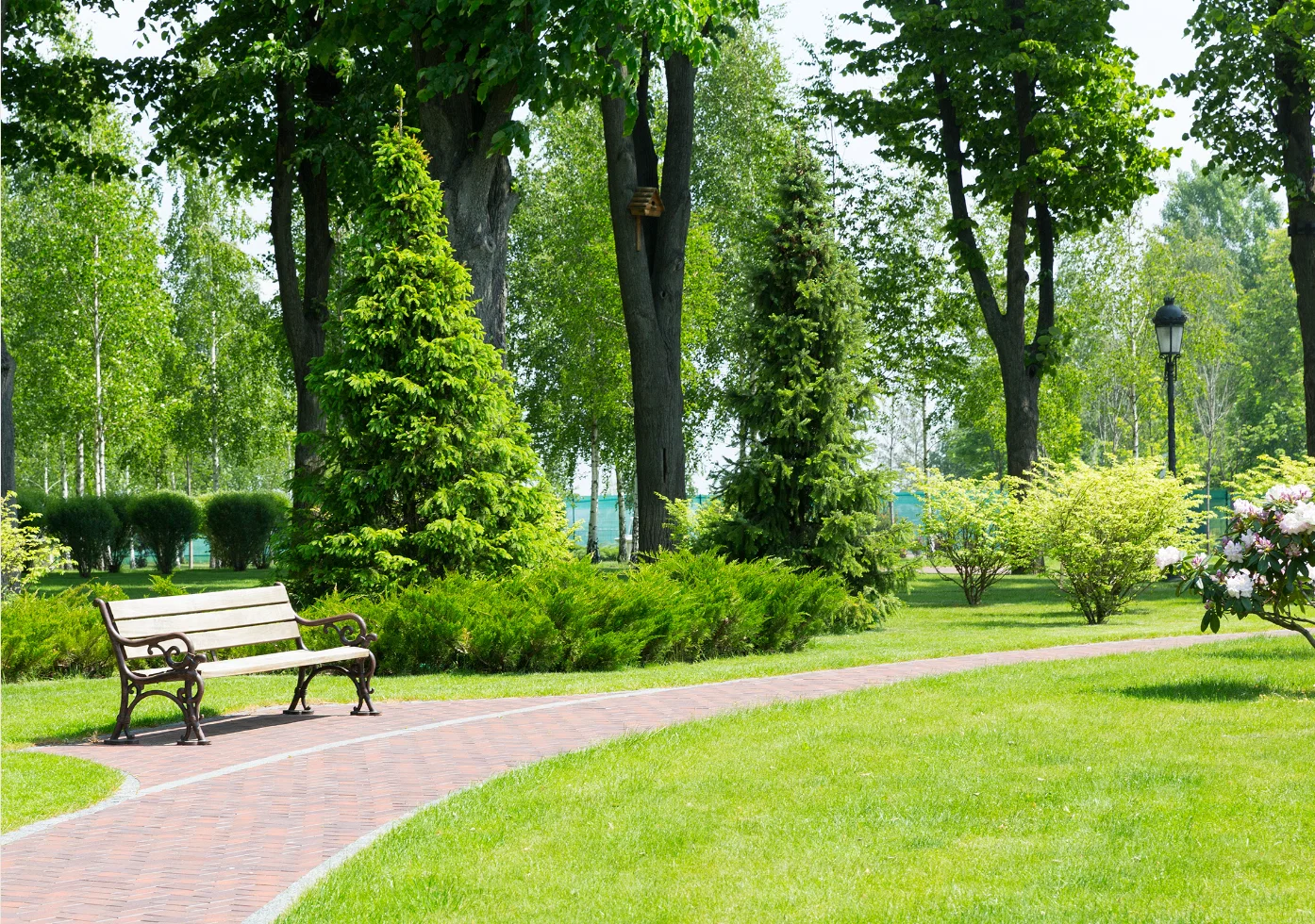 CYPRESS AT JUNIPERS SENIOR APARTMENTS