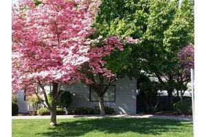 EVERGREEN ESTATES