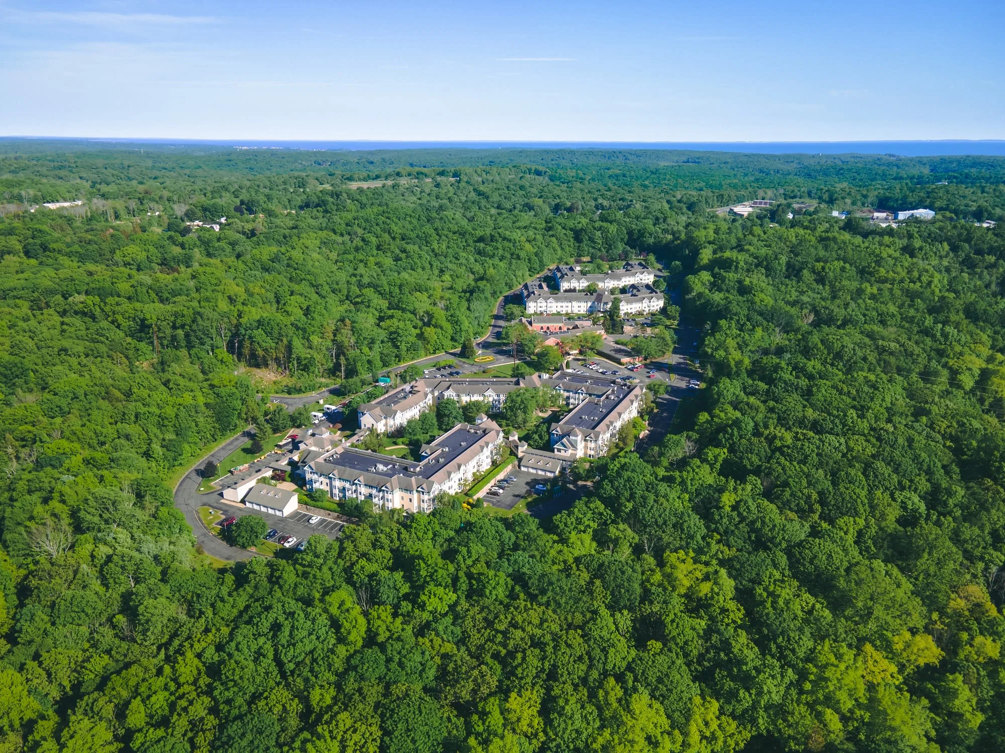 Evergreen Woods