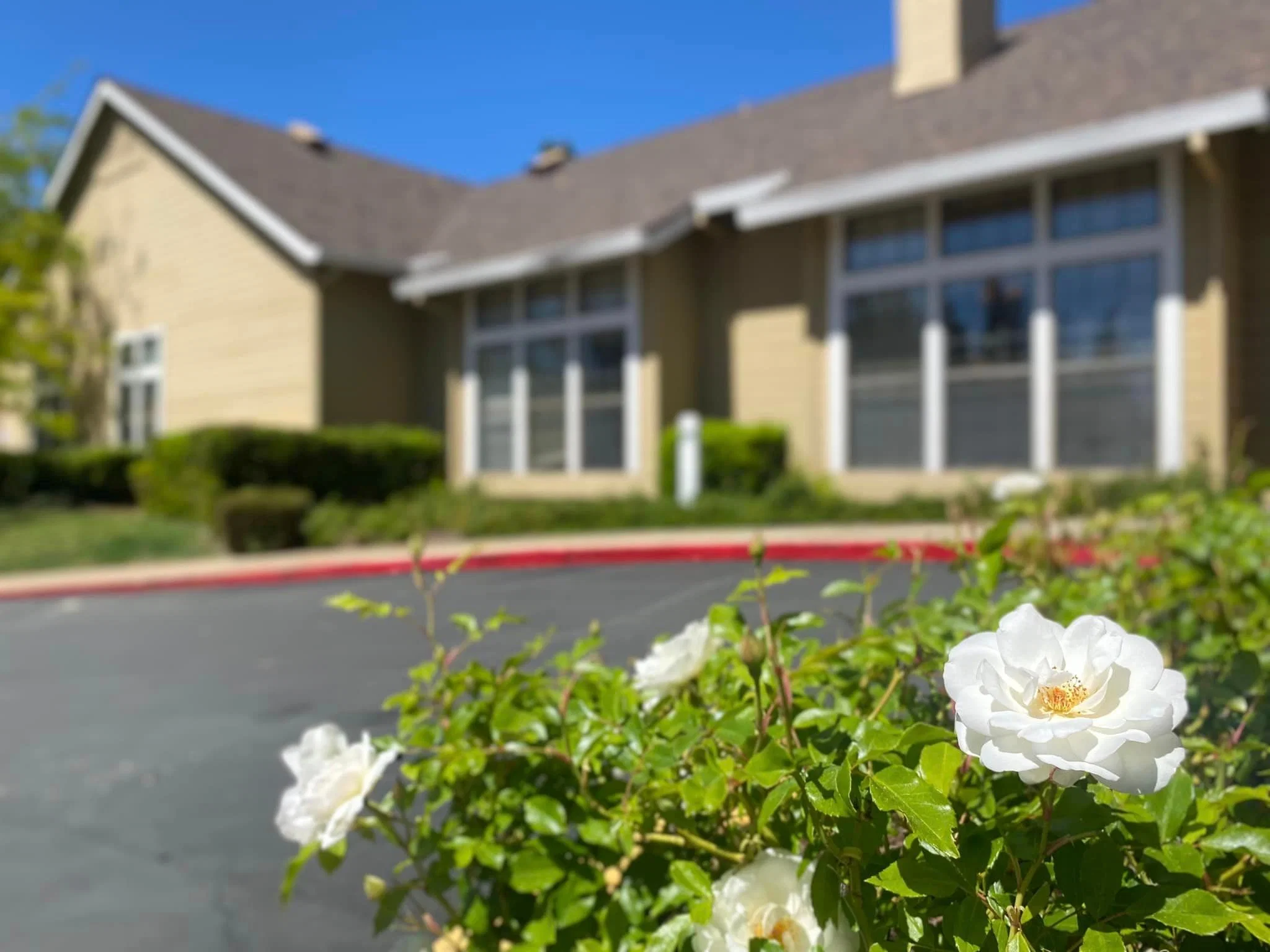 HILLTOP COMMONS