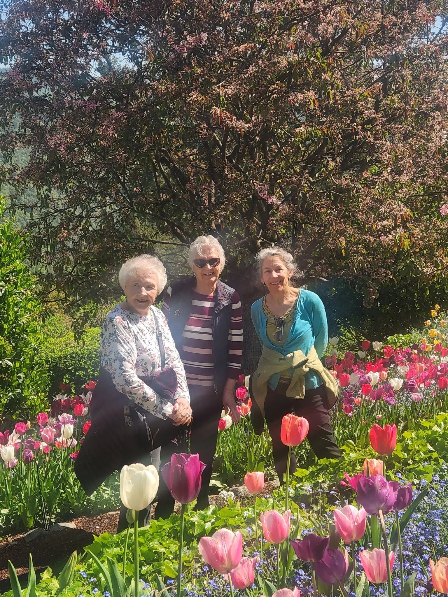 Hilltop Commons Senior Living