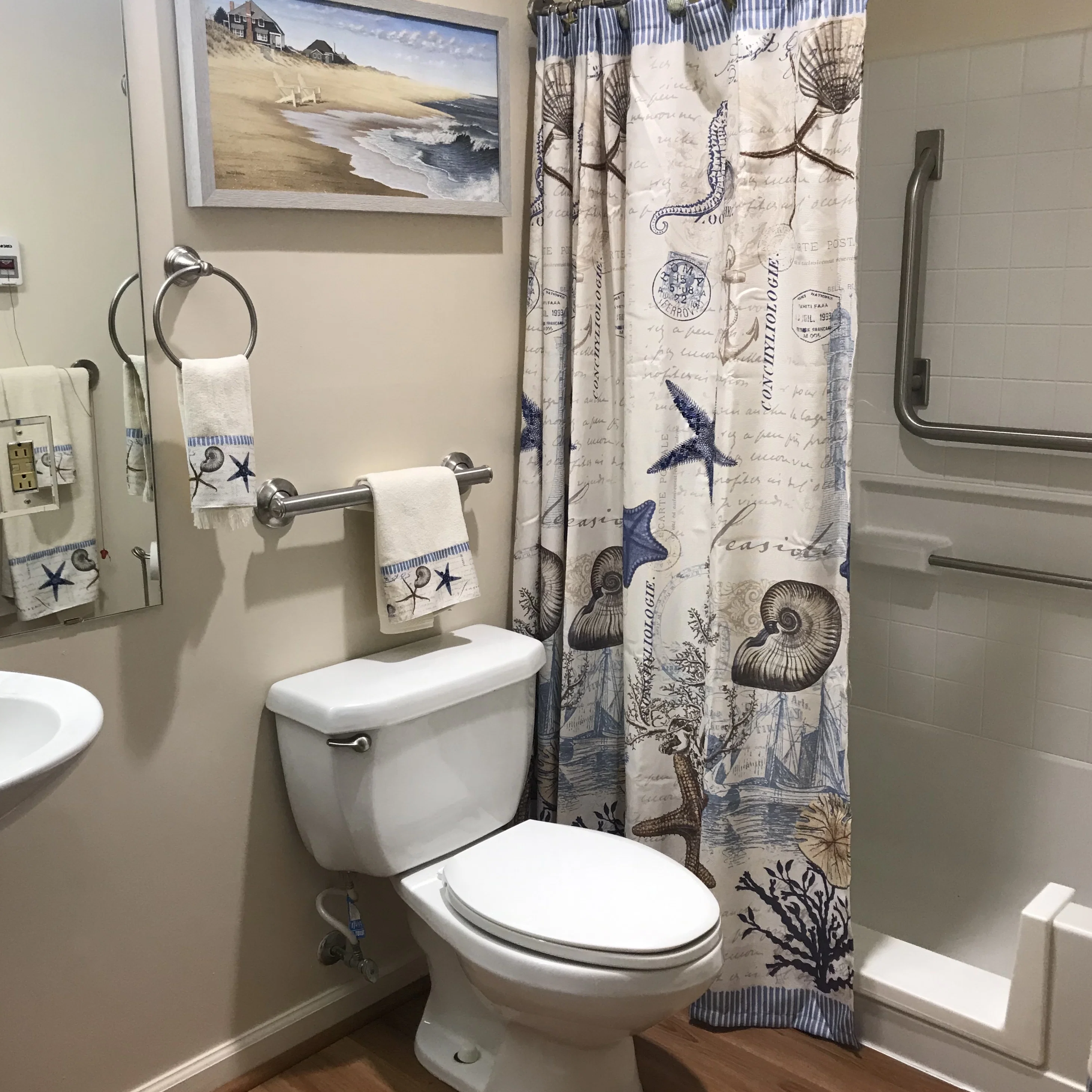 INDEPENDENCE VILLAGE OF OLDE RALEIGH SKY ACTIVE LIVING