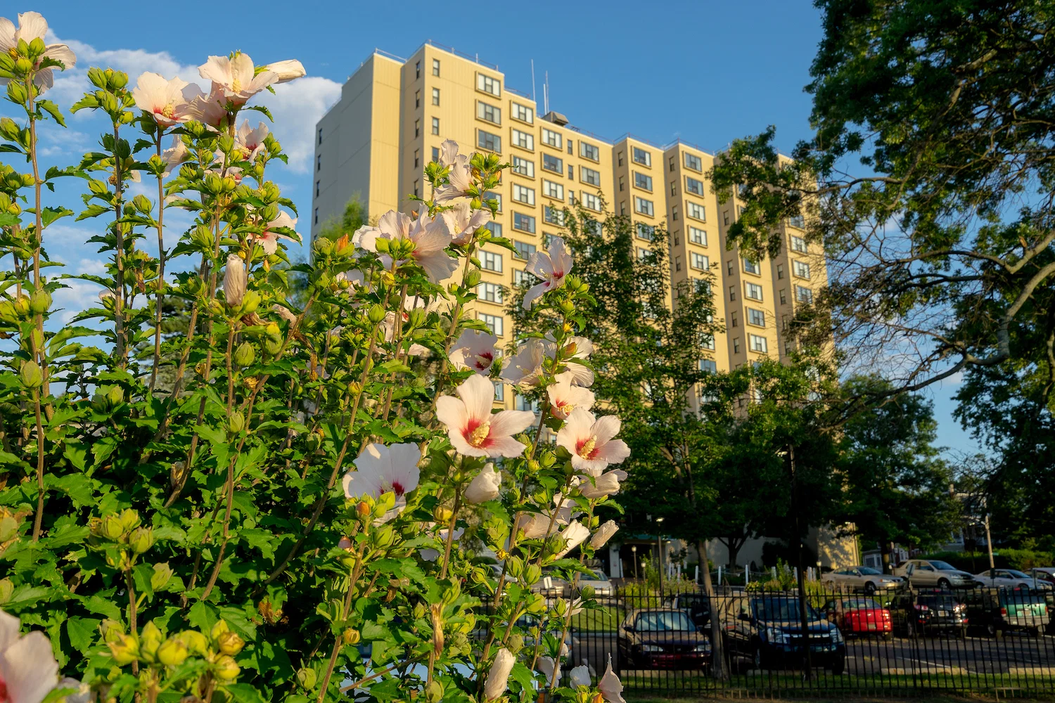 INGLESIDE RETIREMENT APARTMENTS