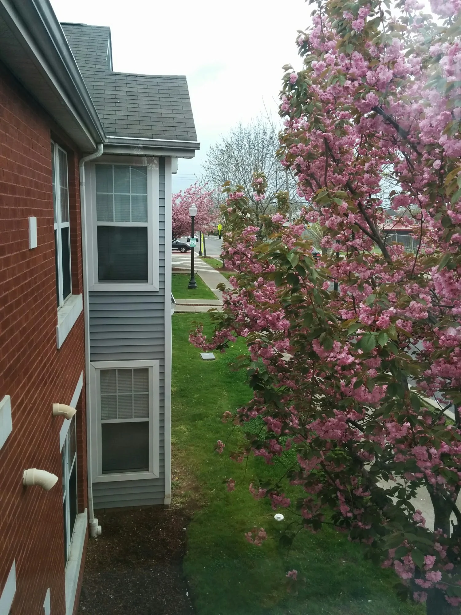 Lafayette Village