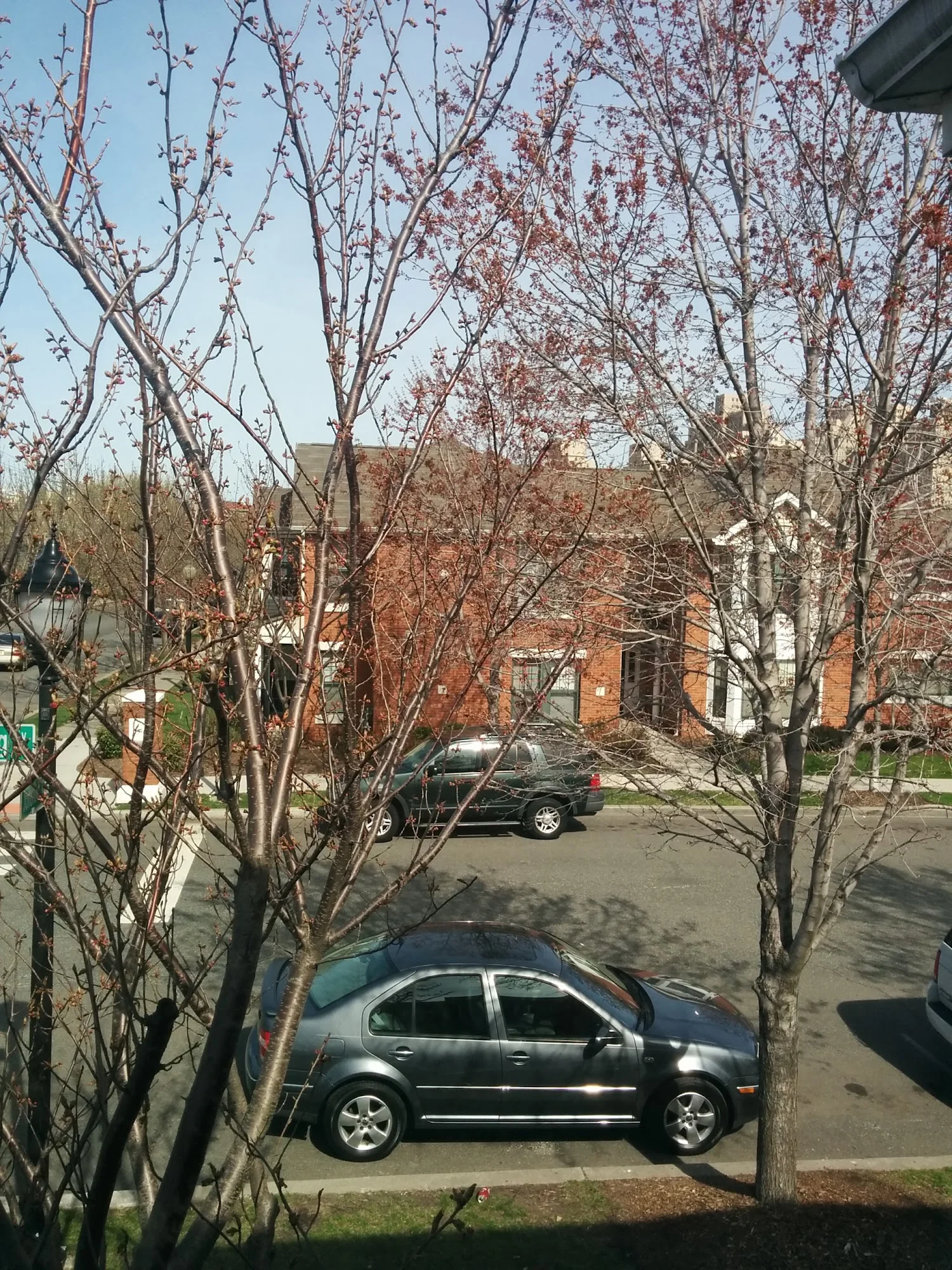Lafayette Village