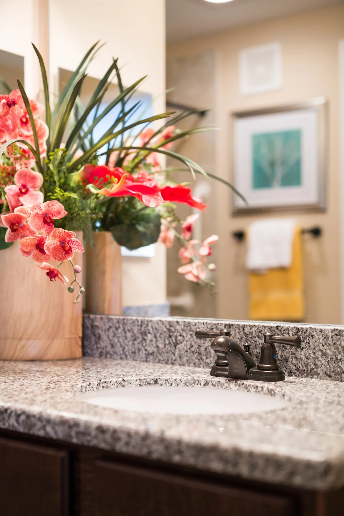 Lake Travis Independent Living